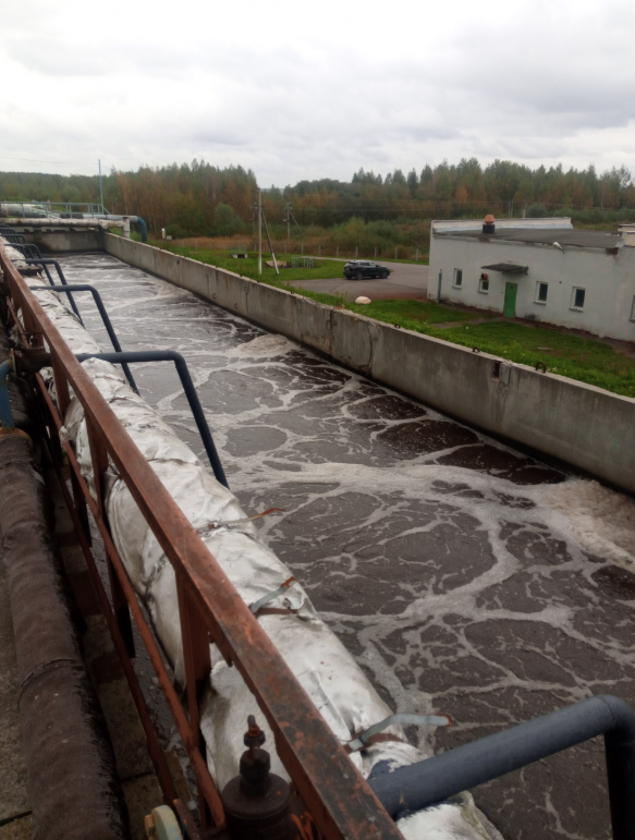 КОС г. Буда-Кошелёва